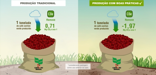 Adoção de práticas sustentáveis otimiza balanço de CO2 no café conilon capixaba
