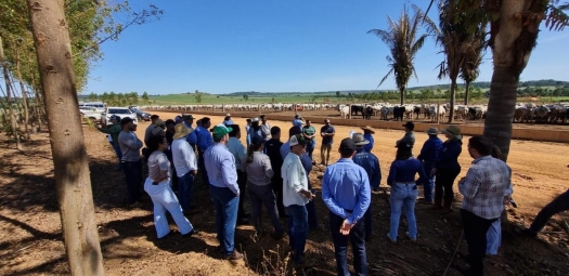 Diálogo sobre pecuária sustentável avança em Rondônia 