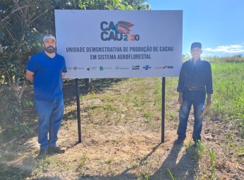 Novas Unidades Demonstrativas de Produção de Cacau são inauguradas no Pará