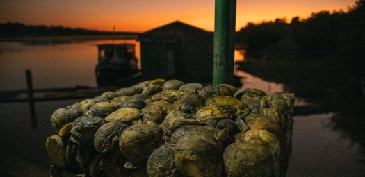 Rede Origens Brasil® expande atuação para o sexto território e chega nas cidades do Médio Purus