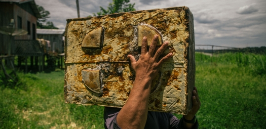 Rede Origens Brasil® expande atuação para o sexto território e chega nas cidades do Médio Purus