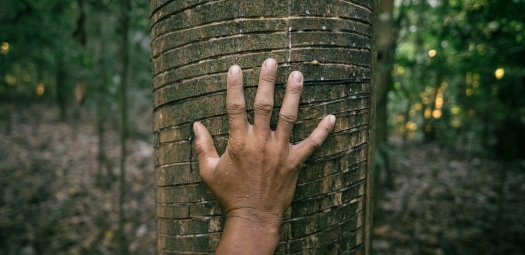 Rede Origens Brasil® expande atuação para o sexto território e chega nas cidades do Médio Purus