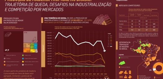 Extração ilegal de madeira aumentou 19% na Amazônia