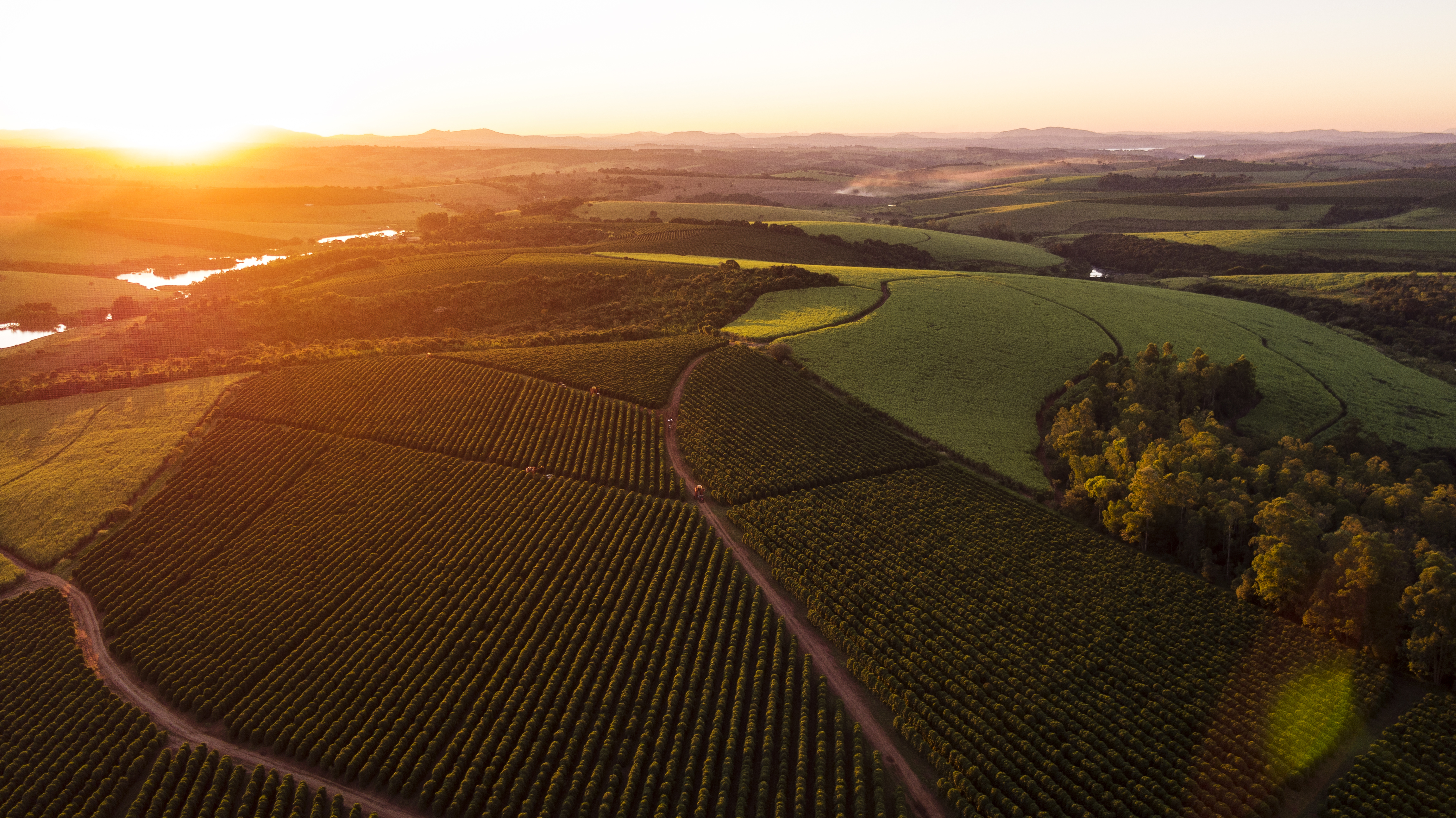 Imaflora e Agrotools lançam algoritmo exclusivo com base em IA  para aumentar a confiança do Cadastro Ambiental Rural (CAR)